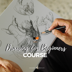 Drawing Course for Beginners (Adults)