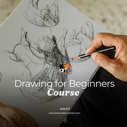 Drawing Course for Beginners (Adults)