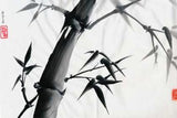 A3 Sumi-e Japanese Painting Pad (80gsm)