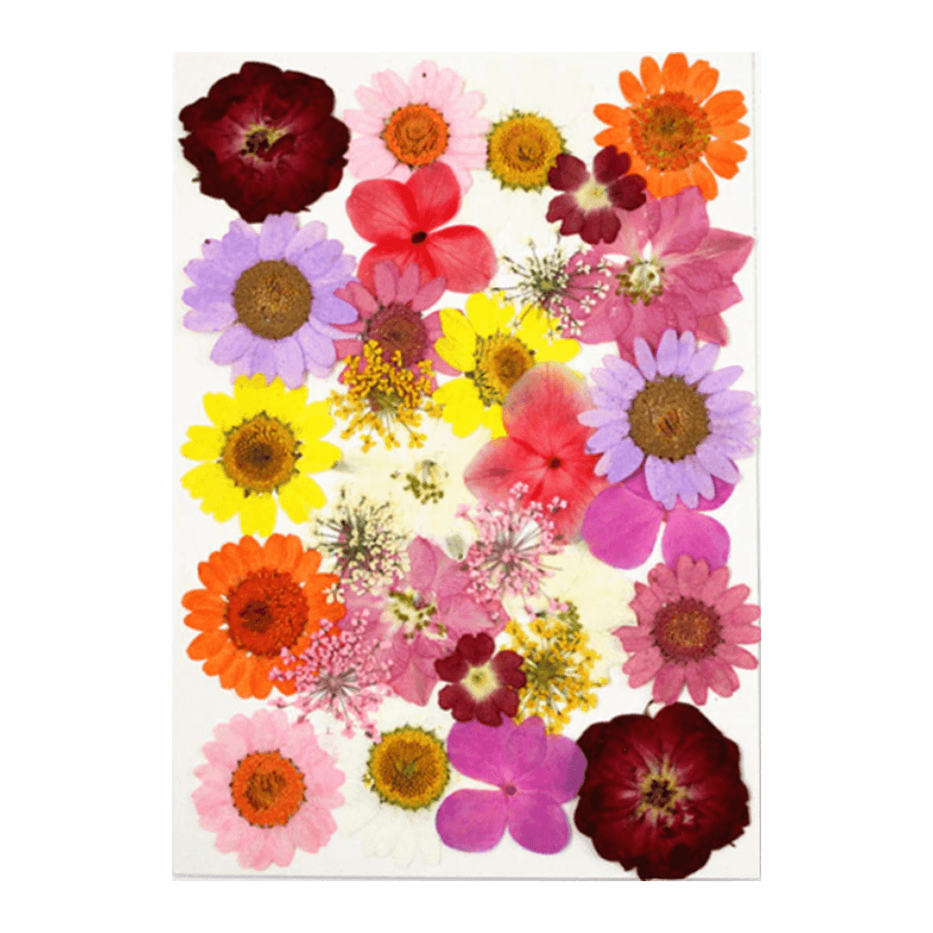 Homemaxs Pressed Flower Flowers Dried Nail Petals Art Craft Resin Crafts Plants Bouquet Fake Artificial Preserved Stickers Decals, Size: 14.5X10.5CM