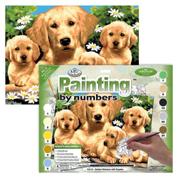 Paint by Numbers (Junior) - Golden Retrievers (Ages 8+) - Art Academy Direct
