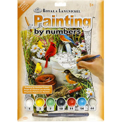 Paint by Numbers (Small) - Garden Birds (Ages 8+) - Art Academy Direct malta