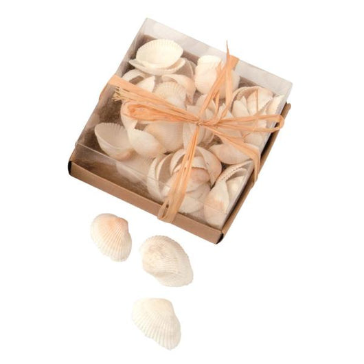 Shells Mixed Box 100g