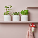 Crochet Set Creative Bubble Shrooom