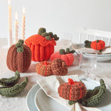 Crochet kit Pumpkins