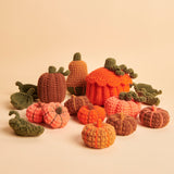 Crochet kit Pumpkins