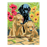 Art Adventure Super Value Set
