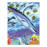 Art Adventure Super Value Set