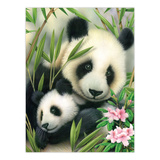 Art Adventure Super Value Set 3