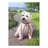 Art Adventure Super Value Set 3