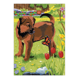 Art Adventure Super Value Set 3