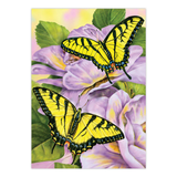 Art Adventure Super Value Set 4