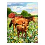 Art Adventure Super Value Set 4