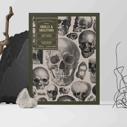 Skull and Skeletons