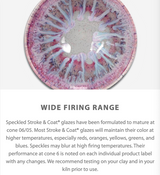 Stroke & Coat® Speckled Glazes 59ml