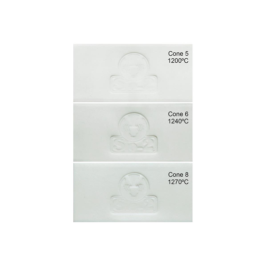 Aneto White Porcelain Clay 5kg