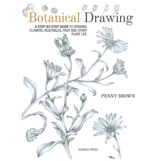 Botanical Drawing