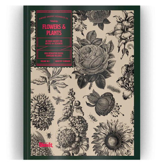 Flowers and Plants