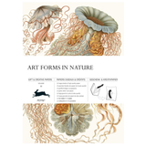 PEPIN Gift & Creative Papers: Art Forms in Nature (Vol. 83)