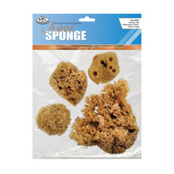 Caribbean Sponges, Set of 4