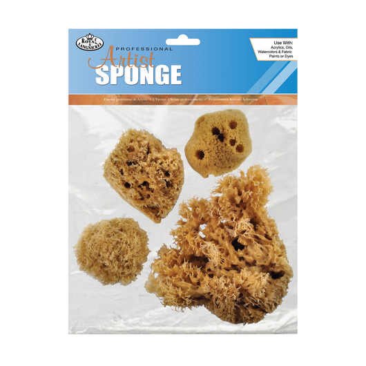 Caribbean Sponges, Set of 4