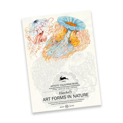 PEPIN Artists' Colouring Book: Art Forms in Nature