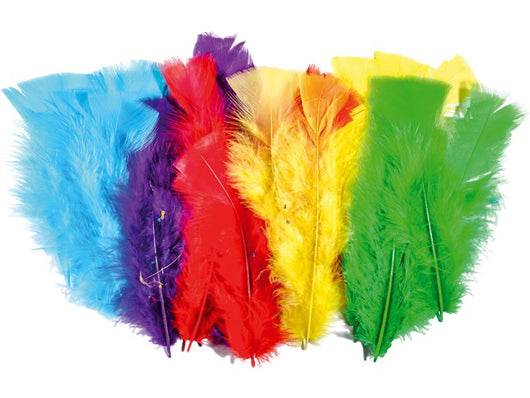 Pack of Feathers Mixed Colours x24