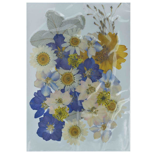 Dried Pressed Flowers for Resin – Art Academy Direct