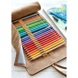 Art & Graphic Pencil Roll - PU Leather/Empty