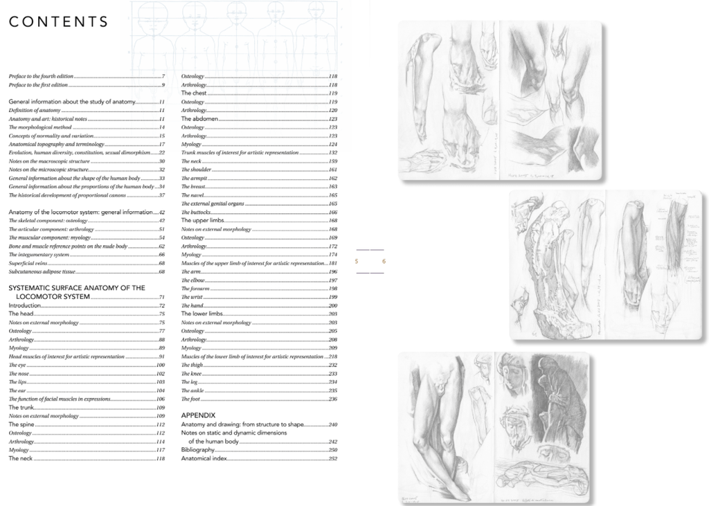 Artist's Guide to Human Anatomy – Art Academy Direct