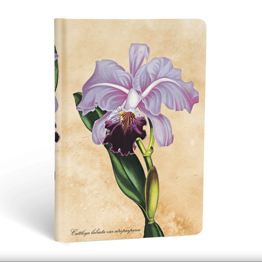 Brazilian Orchid, Painted Botanicals, Mini, Lined - Art Academy Direct malta