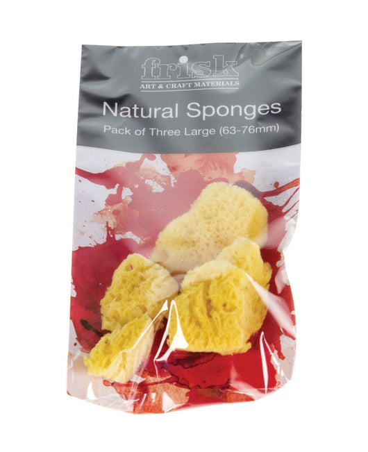 Frisk Natural Sponge Large 75mm Pack of 3 - Art Academy Direct malta