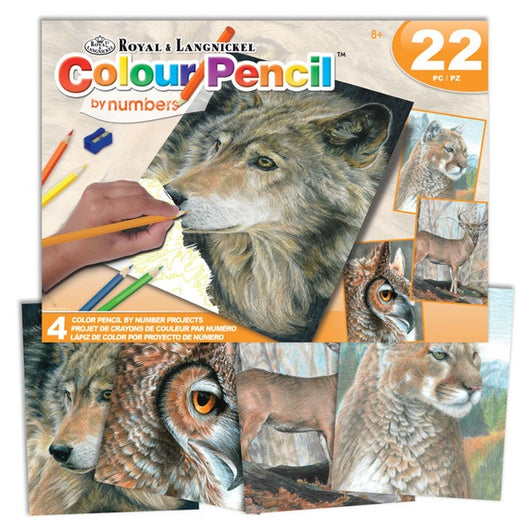 Colour Pencil by Numbers Activity Set ( 4 Projects) Ages 8+