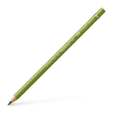 Polychromos Colour Pencils (Singles) - Art Academy Direct