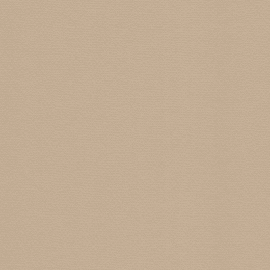 XL Lana Colour Pastel Paper, Single Sheets - 70 x 100cm - Art Academy Direct malta